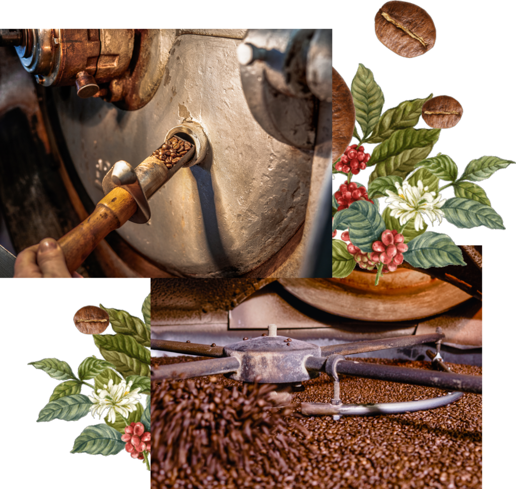 Naber Kaffeeherstellung